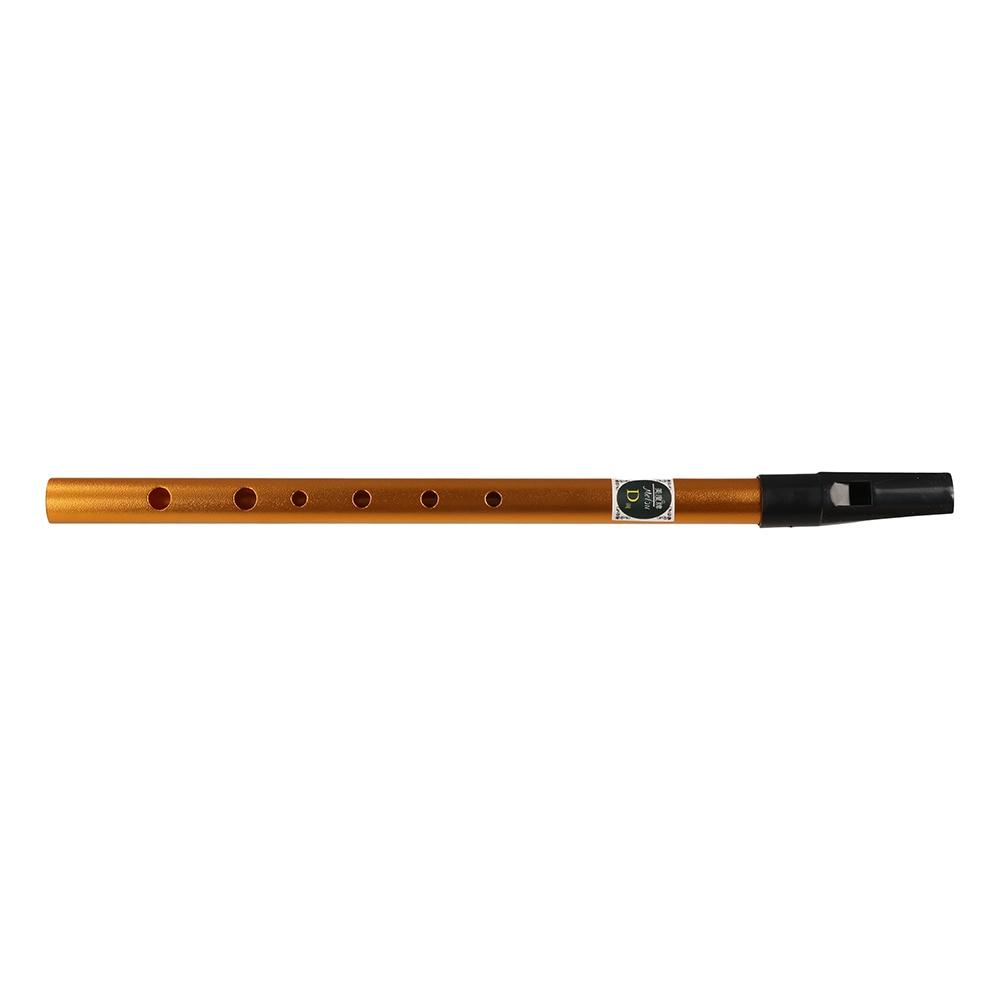 Musical Accessories 6 Hole Iri - Musical Instrument Irish บทวิจารณ์และราคา