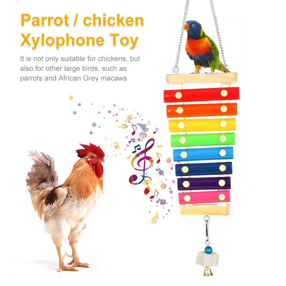 Bird Chicken Xylophone Toy Woo - Musical Instrument Xylophone บทวิจารณ์และราคา