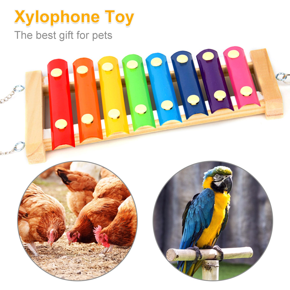 Bird Chicken Xylophone Toy Woo - Musical Instrument Xylophone บทวิจารณ์และราคา