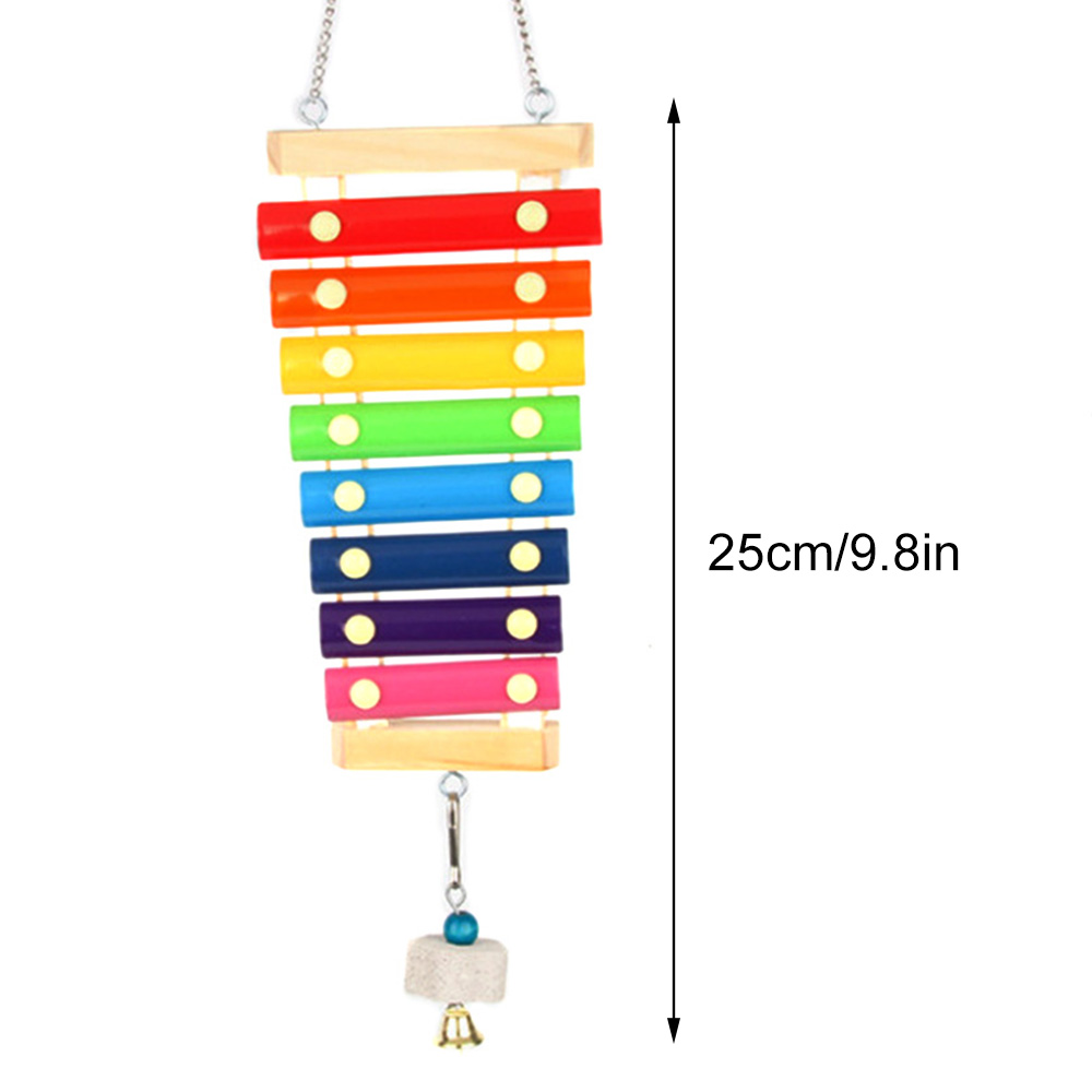 Bird Chicken Xylophone Toy Woo - Musical Instrument Xylophone บทวิจารณ์และราคา