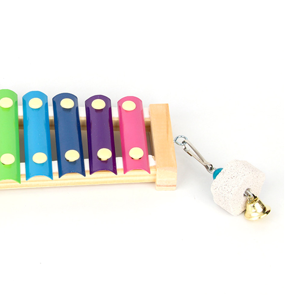 Bird Chicken Xylophone Toy Woo - Musical Instrument Xylophone บทวิจารณ์และราคา