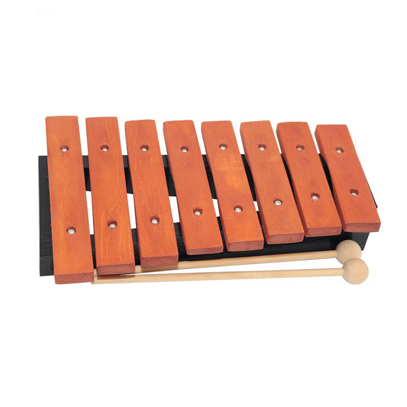 8 Note Xylophone Children Prof - Musical Instrument Xylophone บทวิจารณ์และราคา