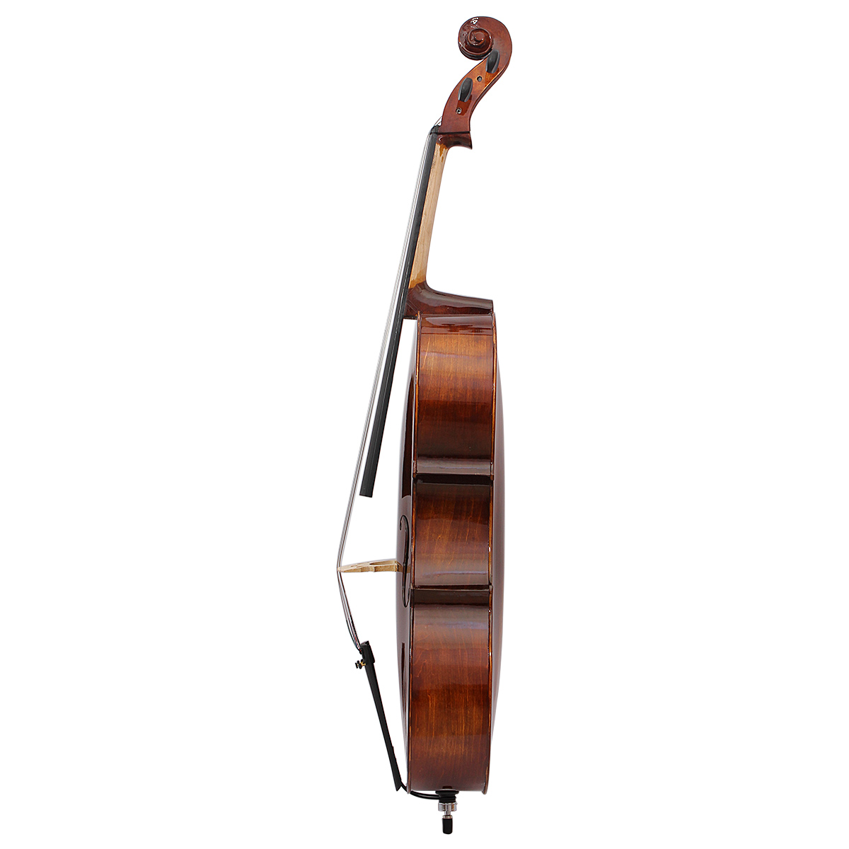 Professional Foreign Trade Exp - Musical Instrument Cello บทวิจารณ์และราคา